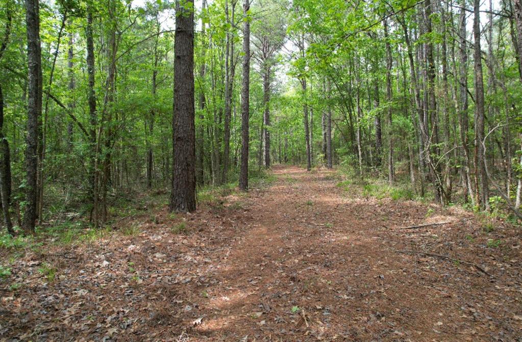 TBD County Road 120C