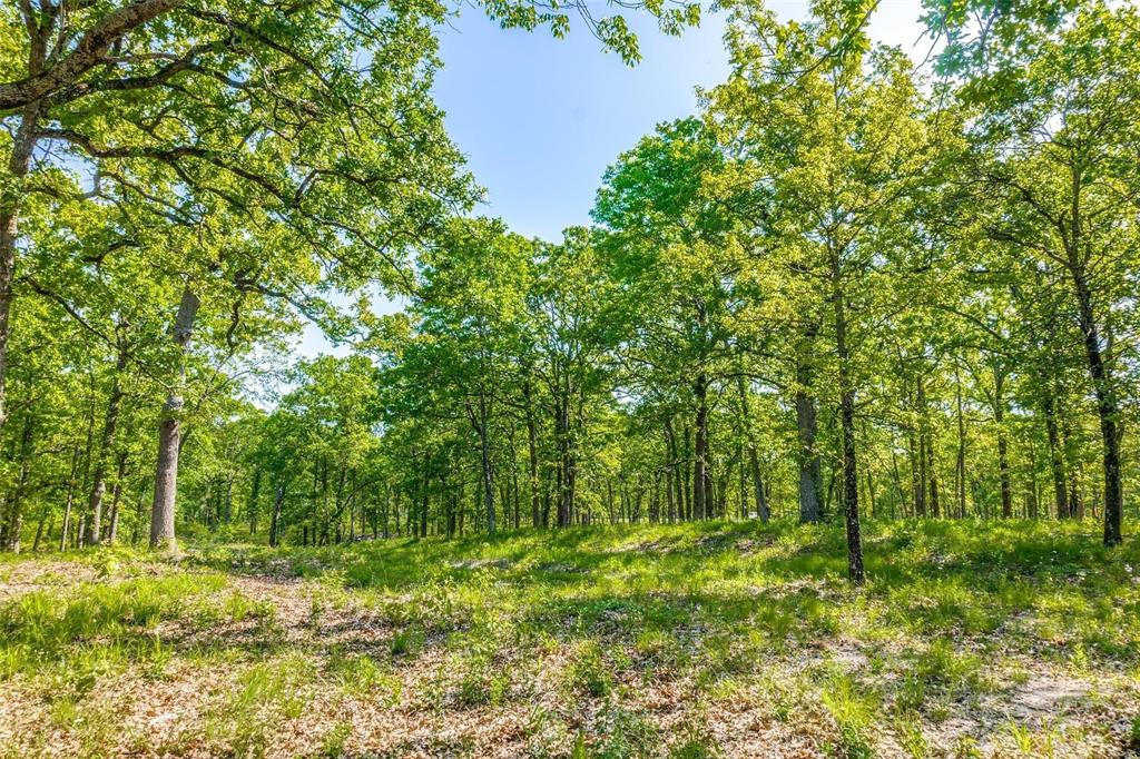 Nautical Shores - Land