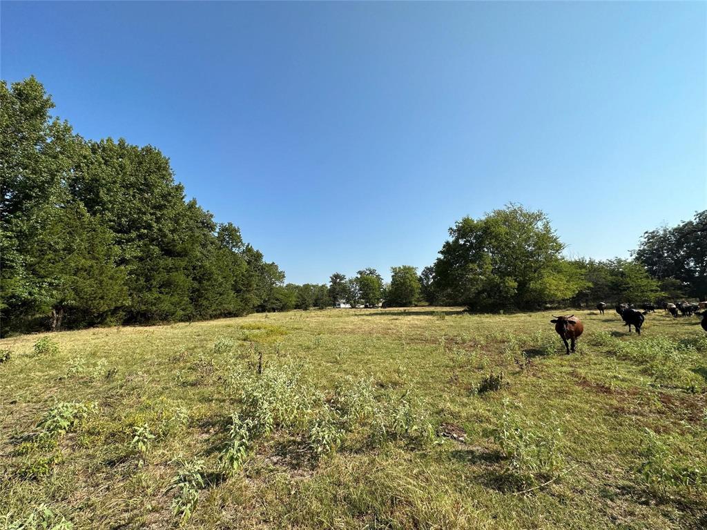 87 Acres FM 269