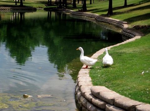 Tiny photo for 813 Via Balboa, Mesquite, TX 75150 (MLS # 21198509)