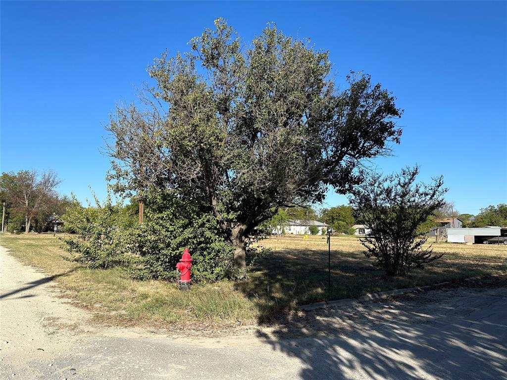 NEEDHAM ADDN TOWN COLEMAN - Land