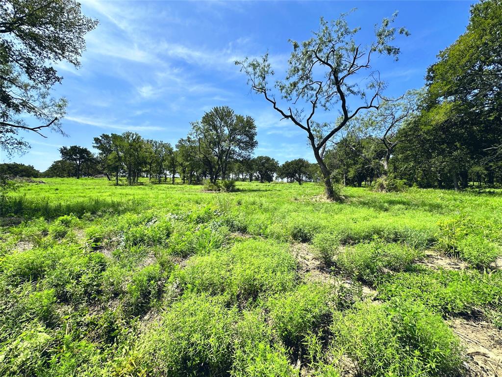Carmel Valley Estates - Land