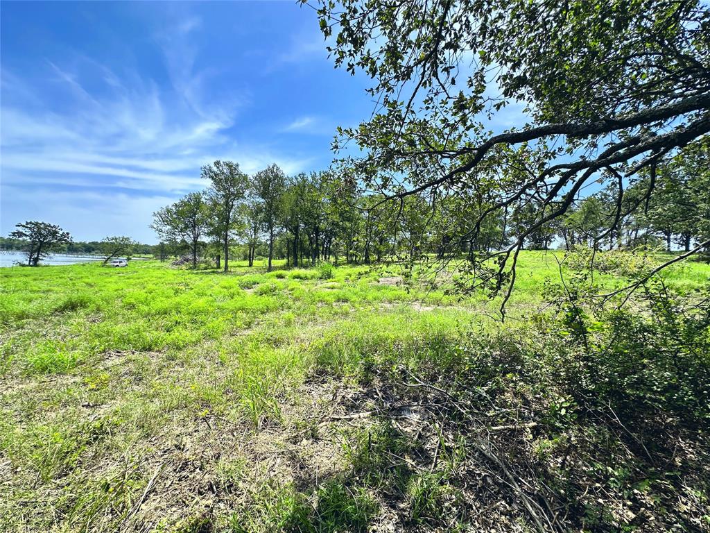 Carmel Valley Estates - Land