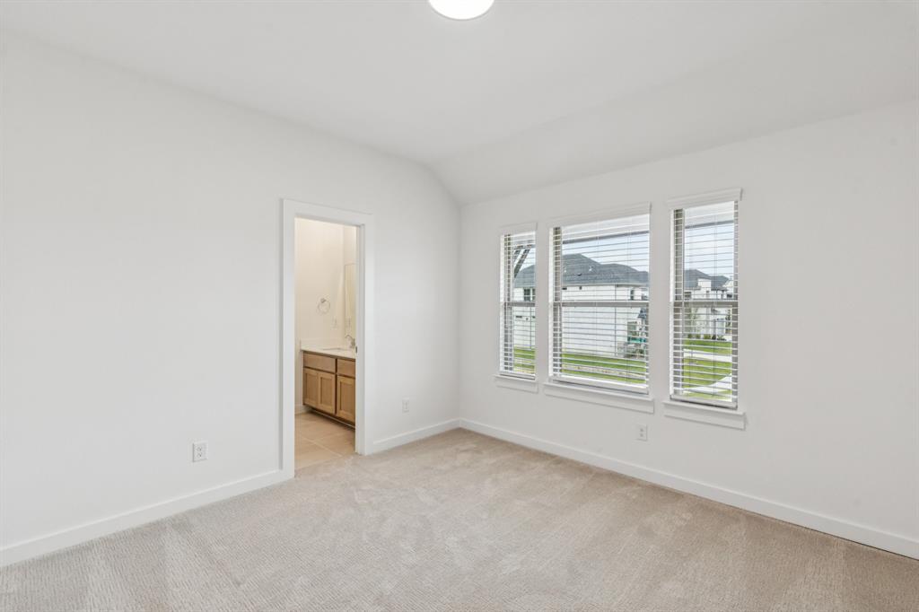 Painted Tree - Residential