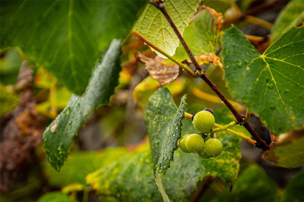 Sable Creek Add - Residential