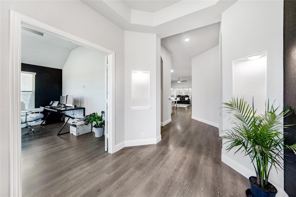 558 Lily Street