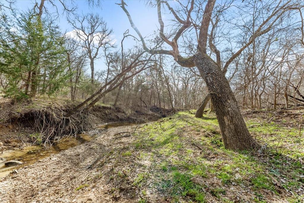 William Ward Surv A-977 - Land