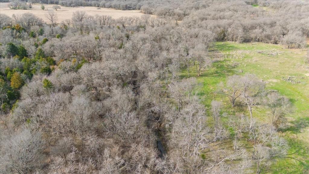 William Ward Surv A-977 - Land