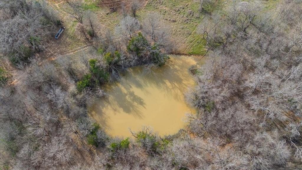 William Ward Surv A-977 - Land