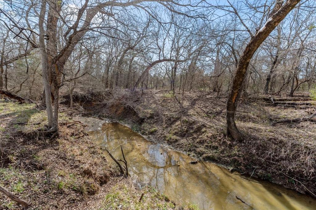 William Ward Surv A-977 - Land