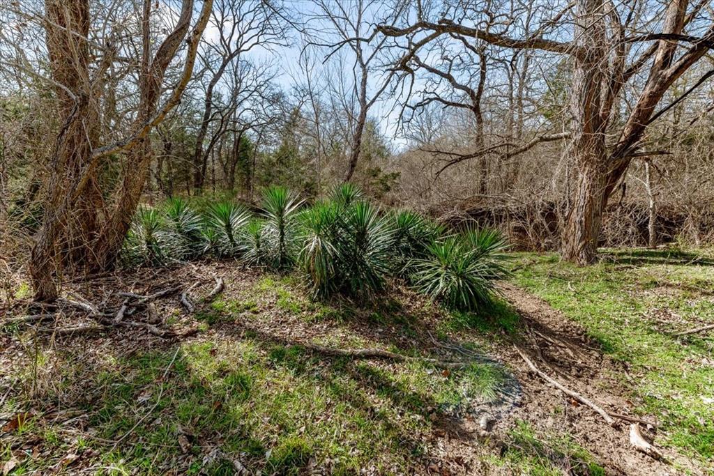 William Ward Surv A-977 - Land