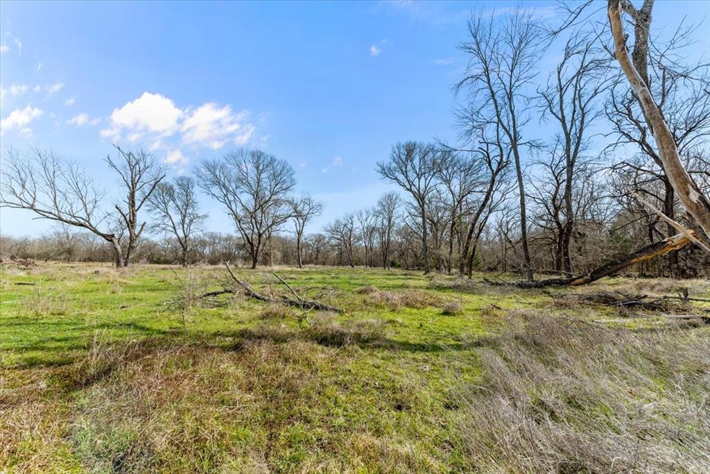 William Ward Surv A-977 - Land