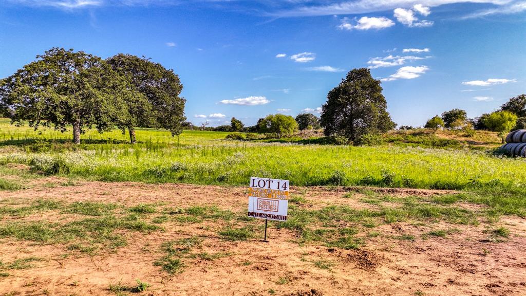 Parallel Pastures - Land