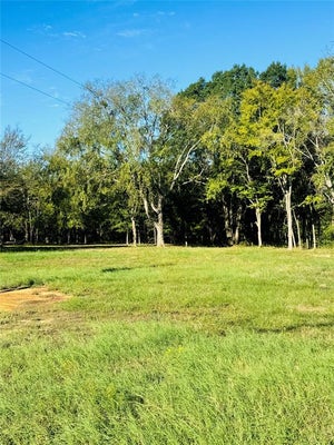 9250 FM 59, ATHENS, TX 75751 - Image 1df3c2f5e66a73ee93f26fffbdf7f430/4054288325
