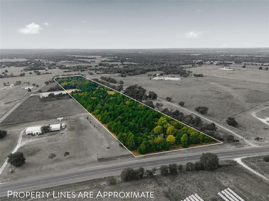 Nestled along HWY 84, this 12.5 acres offers both convenience and tranquility with easy road access and endless potential. Whether you’re looking to build your dream home, create a weekend getaway, or invest in a piece of Texas land, this property provides a peaceful wooded setting and abundant natural beauty. Located just an hour and a half from both Dallas and Waco, you’ll enjoy the perfect balance of seclusion and accessibility. With mature trees and plenty of room to roam, this land is ready for your vision