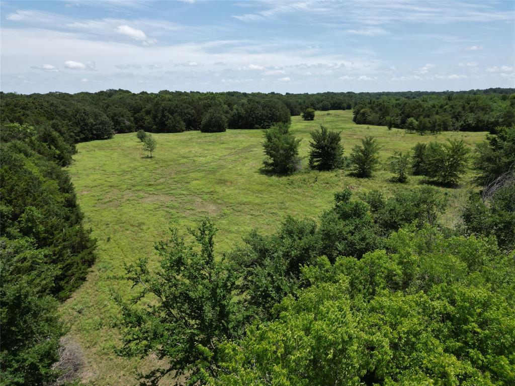 Lot 1 County Road 4766