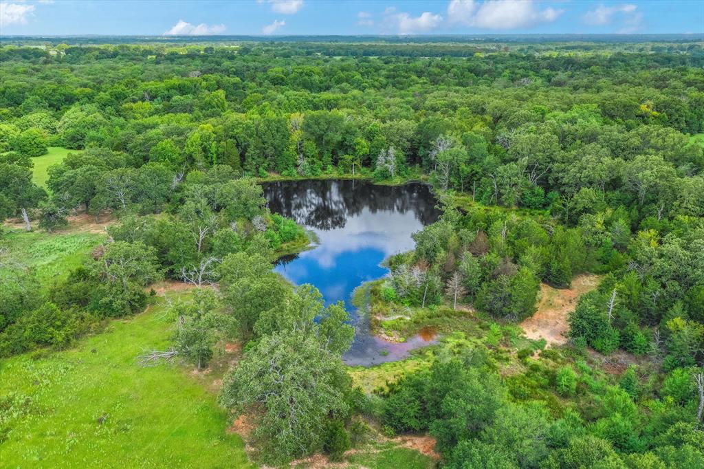 100 (+/-) Acres FM 773