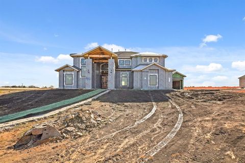 4021 Elsa Drive Celina TX 75009