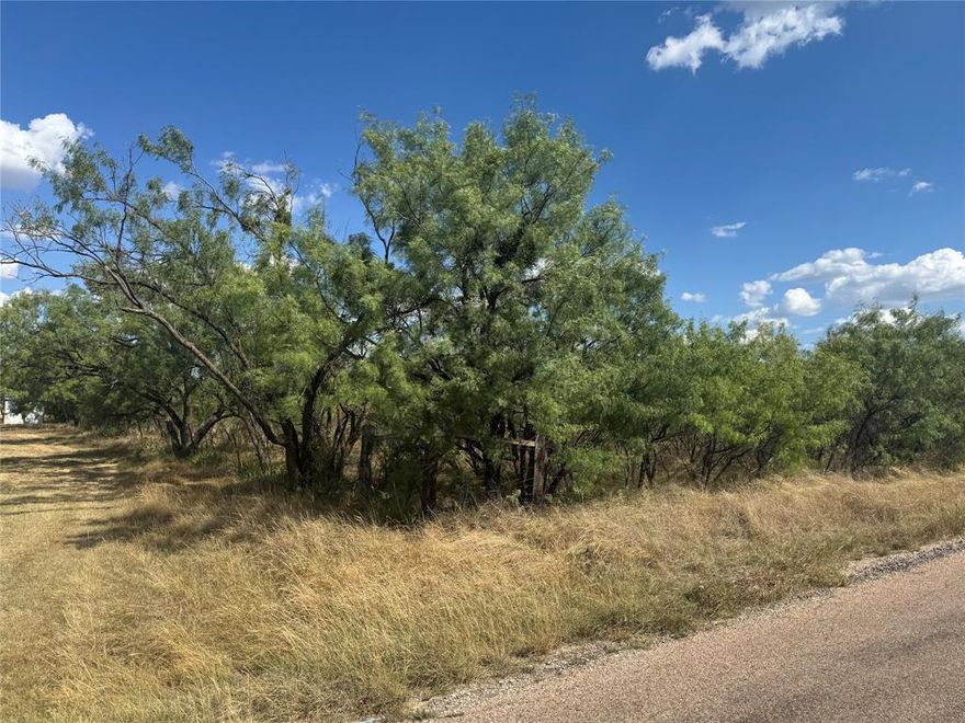 What a great and rare one-acre lot in Abilene-Potosi!!! Close to Potosi Live, Turtleman's, and Doc's for restaurants and live entertainment. Just one property north of busy FM 1750 in Potosi. buyer and or buyers agent to verify zoning, restrictions, schools, tax information, and utilities.