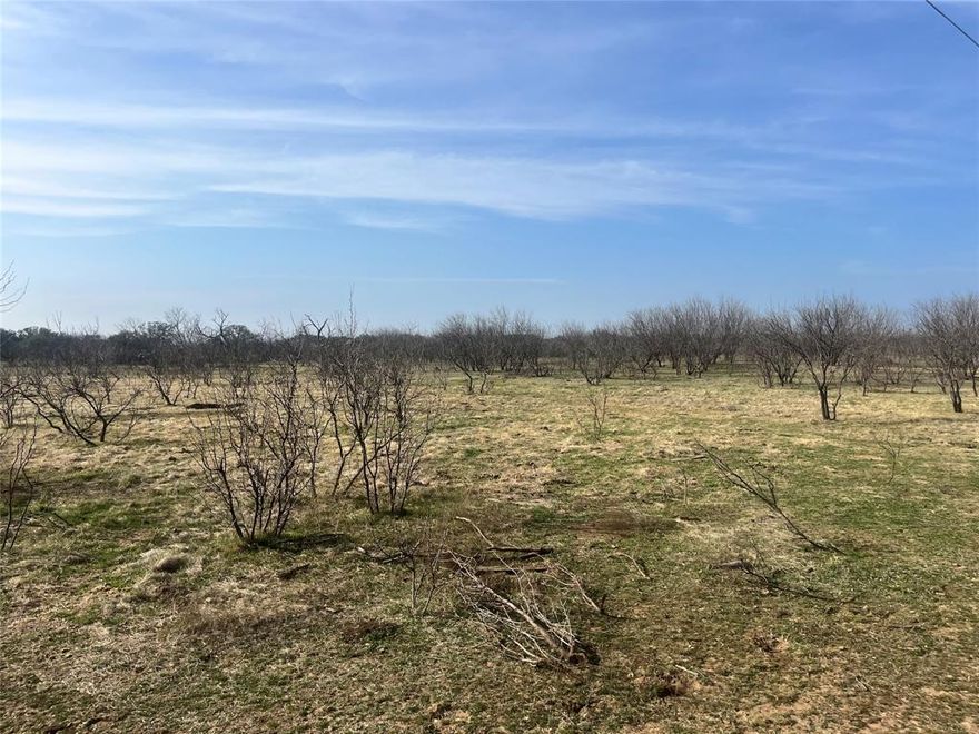 This is a great property with over 300 ft of road frontage, cross-fencing, and city water! With no known restrictions, the sky truly is the limit! Perfect for livestock, there is a 3-sided run-in on the property as well as 2 separate pastures. If you're looking to build, electricity is easily available and ready to be hooked up. This property is ready for you to put your stamp on it!