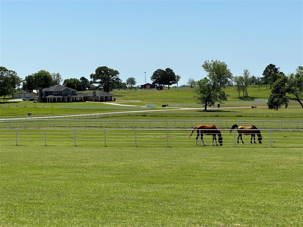 Stallion Lake Ranch - Land