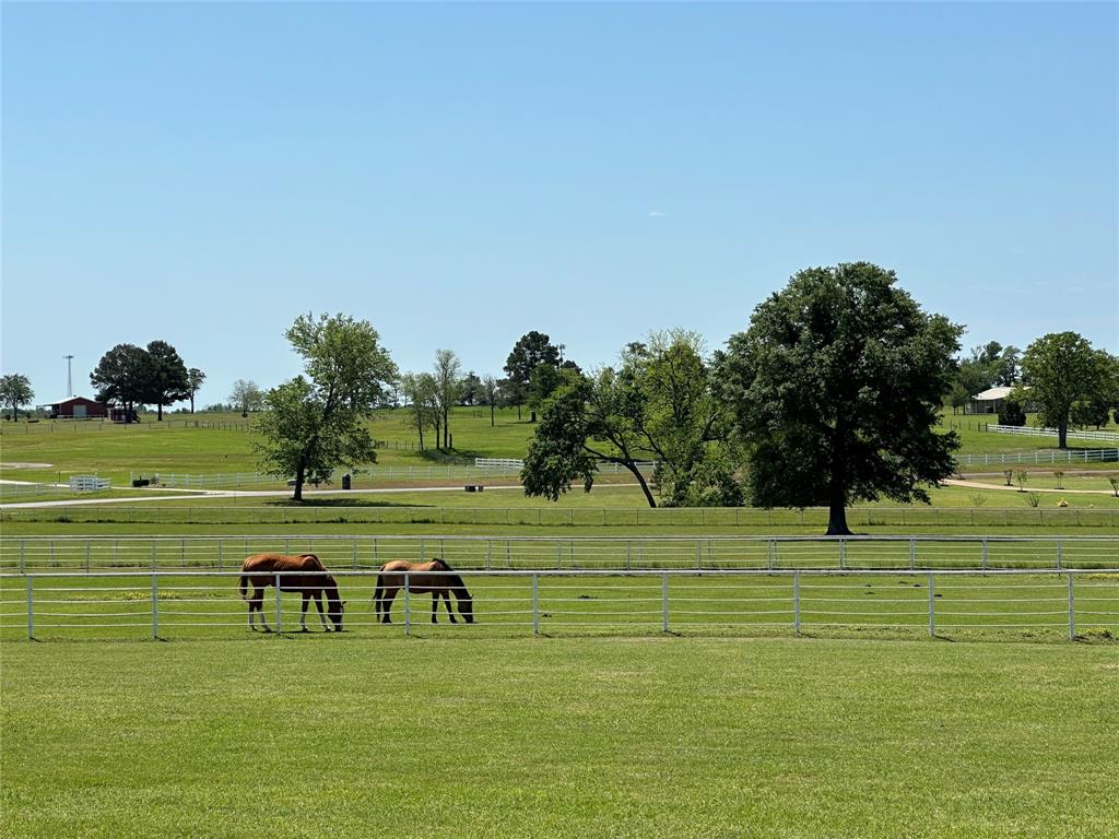 Stallion Lake Ranch - Land
