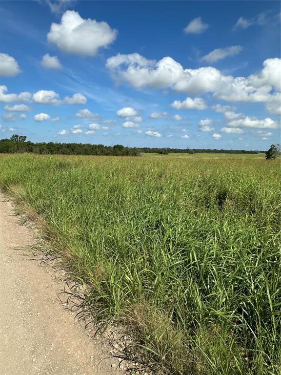 Tract 1 County Road 3430