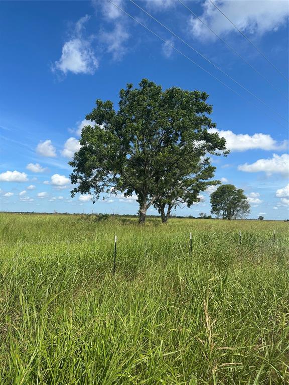 Tract 1 County Road 3430
