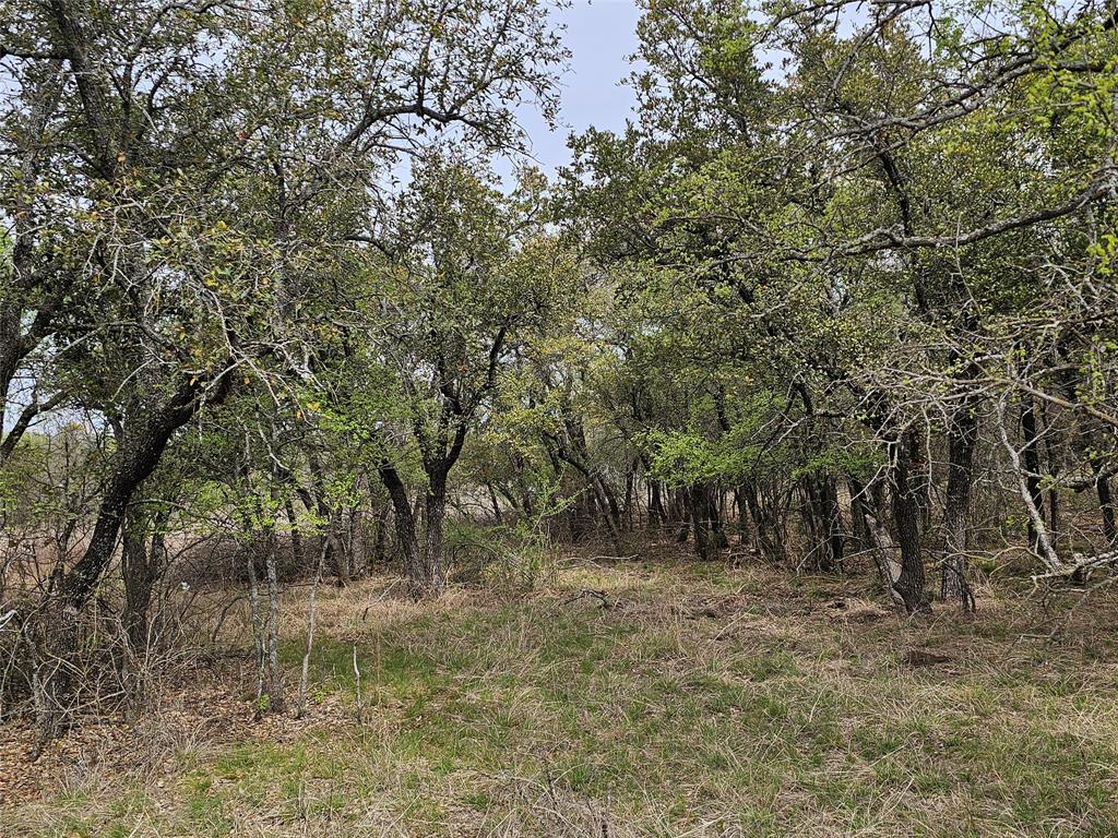 Feather Bay Sub Ph - Land