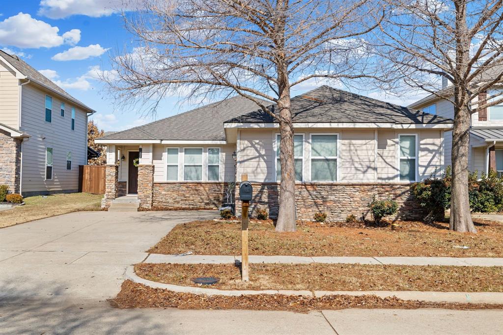 7004 Cotton Seed Drive