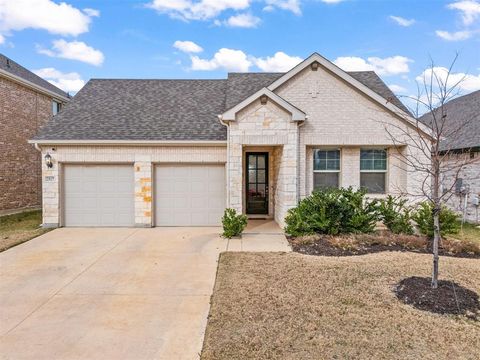 2517 Amistad Lane Corinth TX 76210