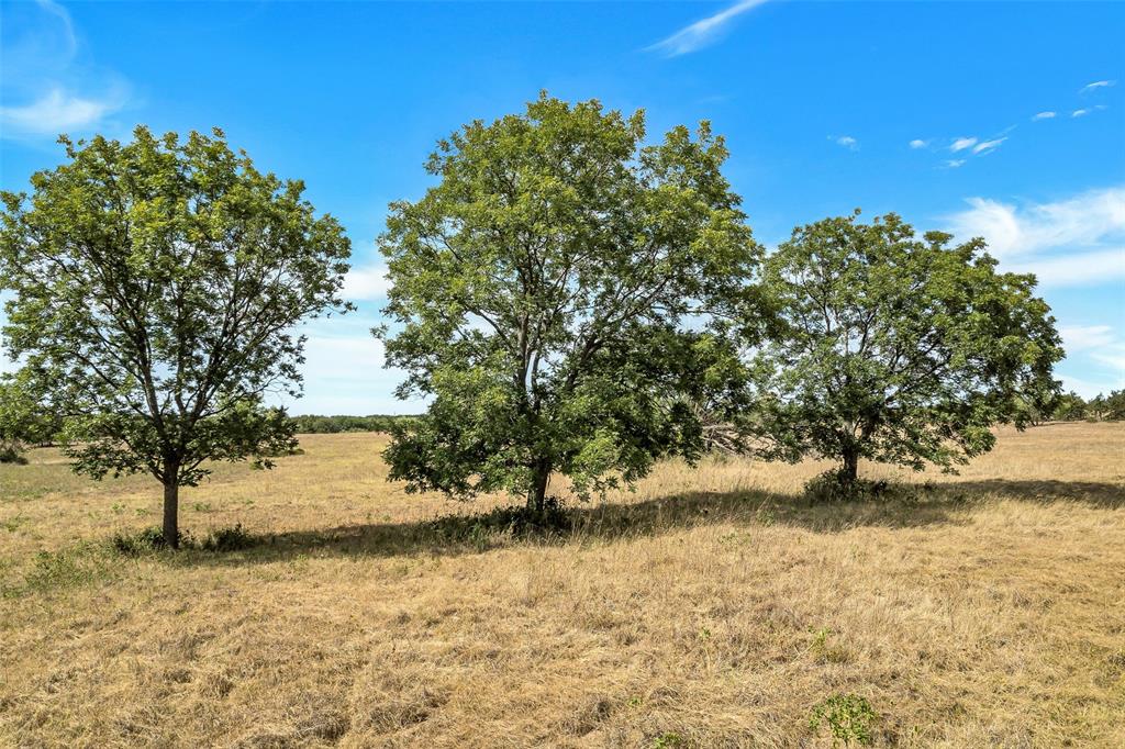 Abst: 1482, Survey: T & P RR CO SUR 139, TR:, BLK: - Residential