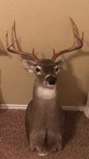 Abst: 1482, Survey: T & P RR CO SUR 139, TR:, BLK: - Residential