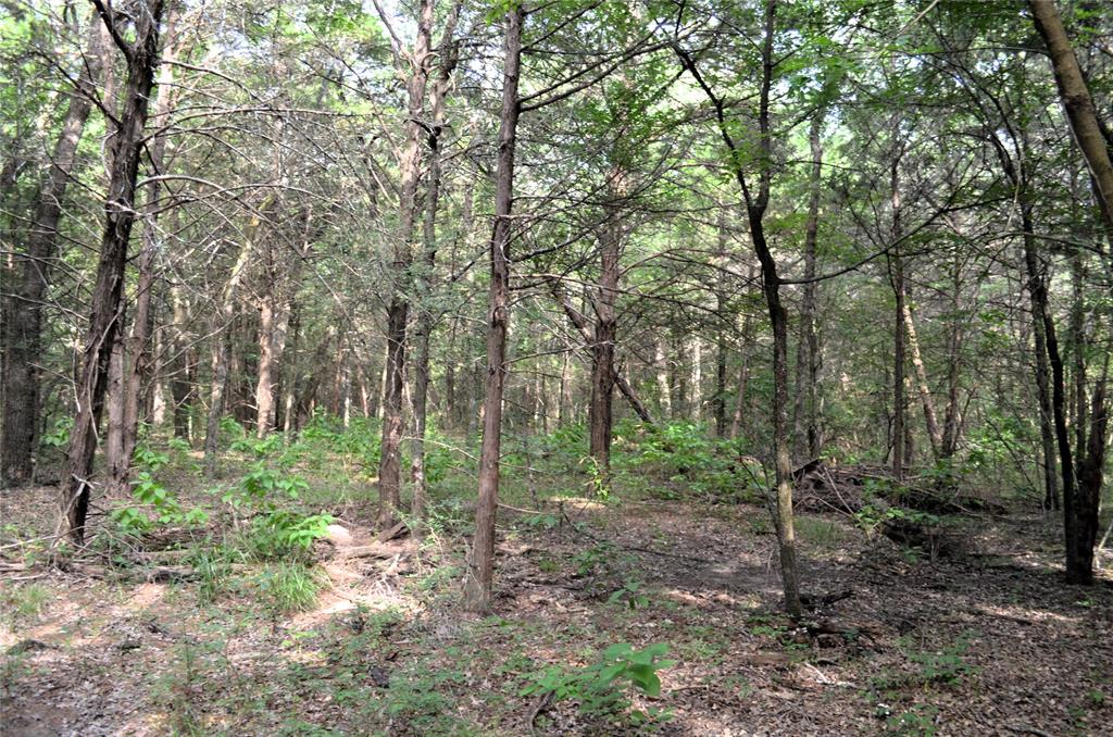 0 County Road 2404