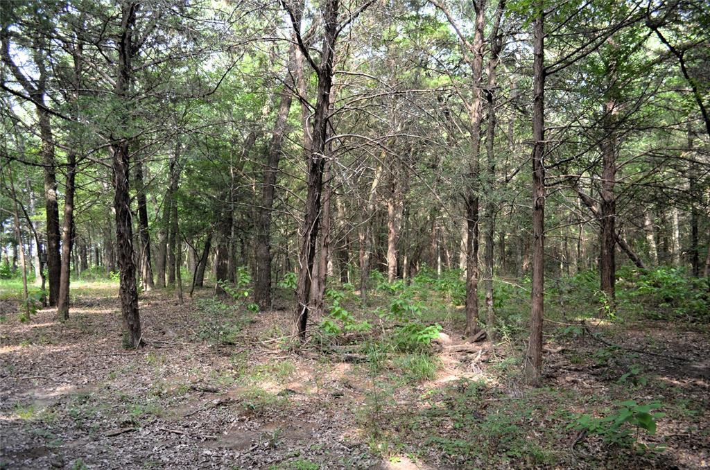 0 County Road 2404