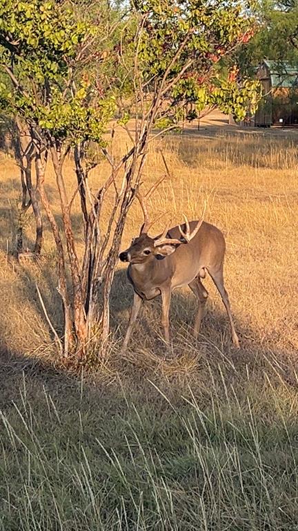 Harbor Point Sec I - Residential