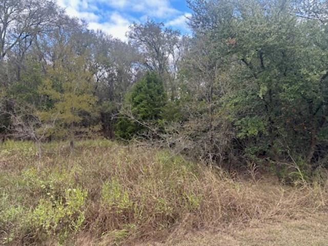 White Bluff #1 - Land