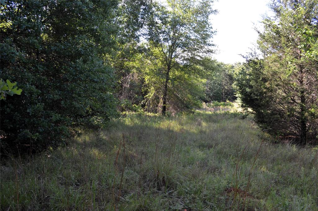 D W Scroggins Surv Abs - Land