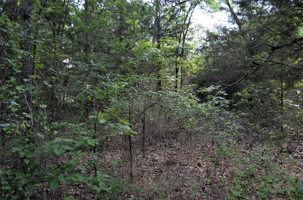 D W Scroggins Surv Abs - Land