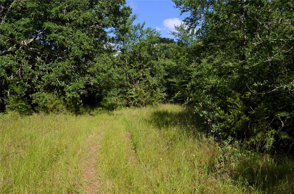 D W Scroggins Surv Abs - Land