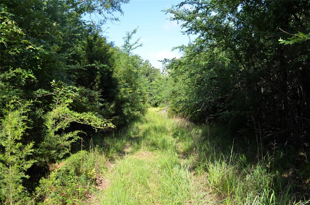 D W Scroggins Surv Abs - Land