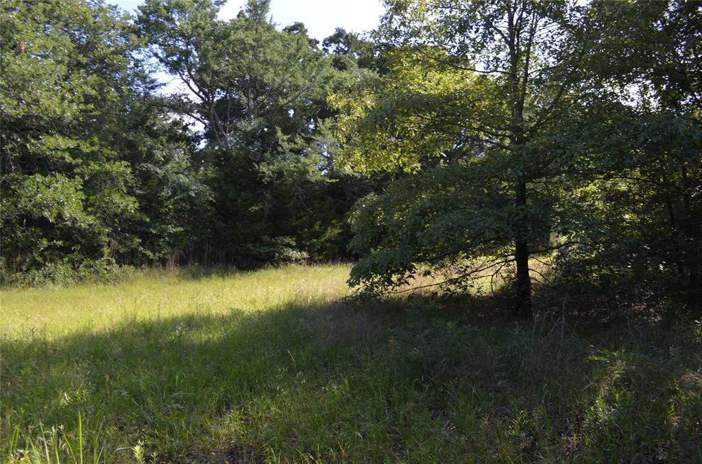 D W Scroggins Surv Abs - Land