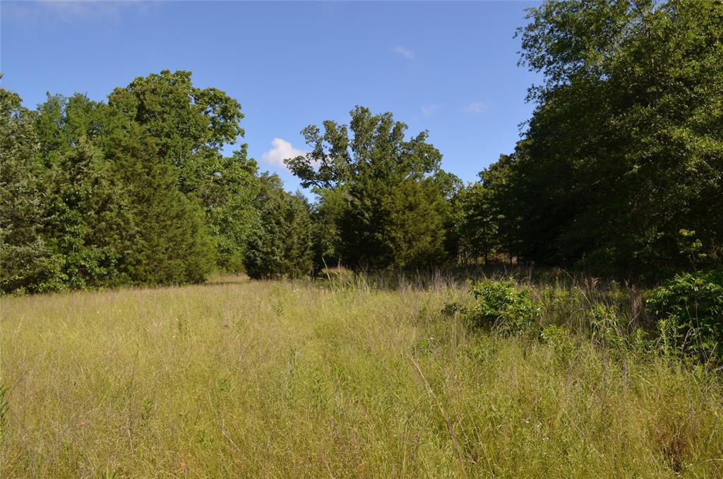 D W Scroggins Surv Abs - Land