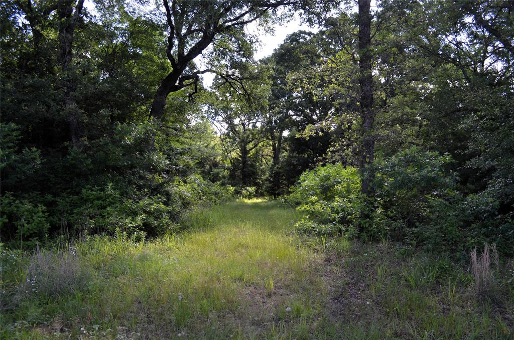 D W Scroggins Surv Abs - Land