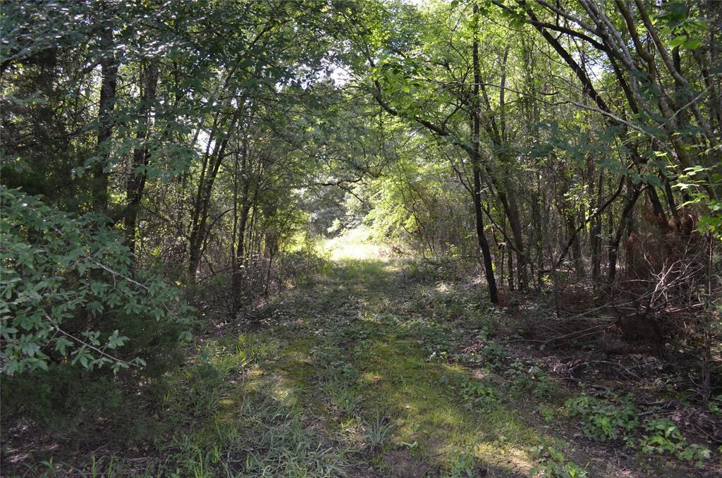 D W Scroggins Surv Abs - Land