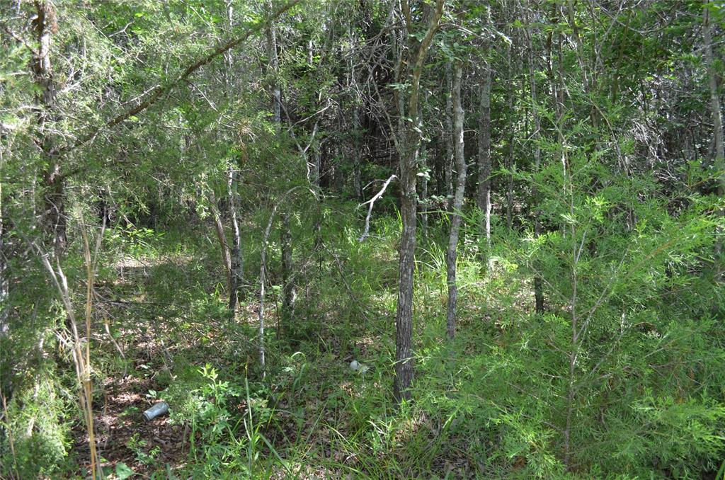 D W Scroggins Surv Abs - Land