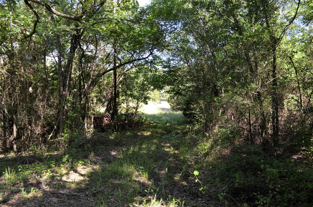 D W Scroggins Surv Abs - Land