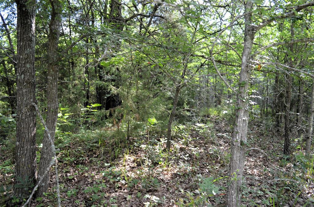 D W Scroggins Surv Abs - Land