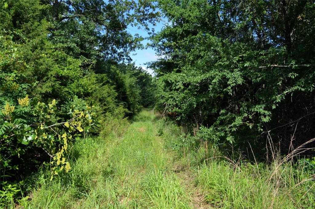 D W Scroggins Surv Abs - Land