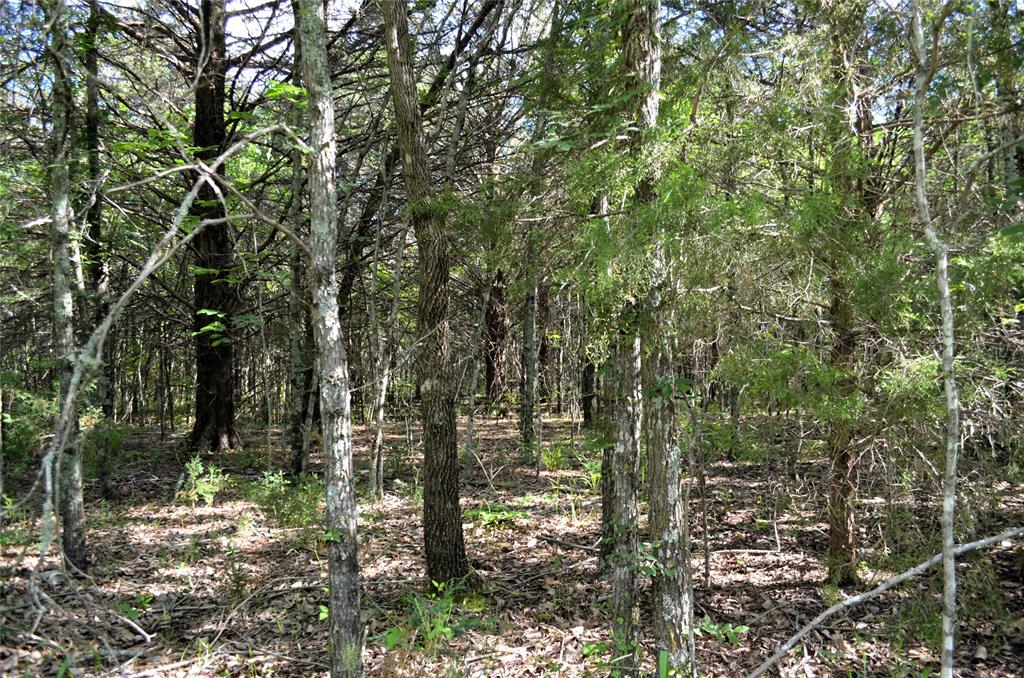 D W Scroggins Surv Abs - Land